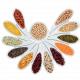 Pulses, Spices &Herbs
