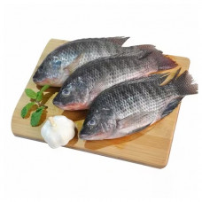 Tilapia Egypt 1Kg