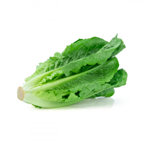 Lettuce Iran 1Kg (Approx) - خس إيران 1كج (تقريبا)