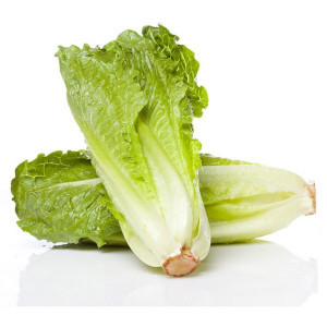 Lettuce Farm Fresh Qatar 1Kg (Approx) - خس مزرعة ط..